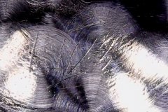 ANCRE-025