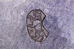 031-DOXA